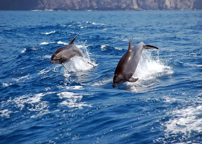 公寓 Torres Del Sol - Cristianos *